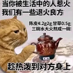 用户-猫头