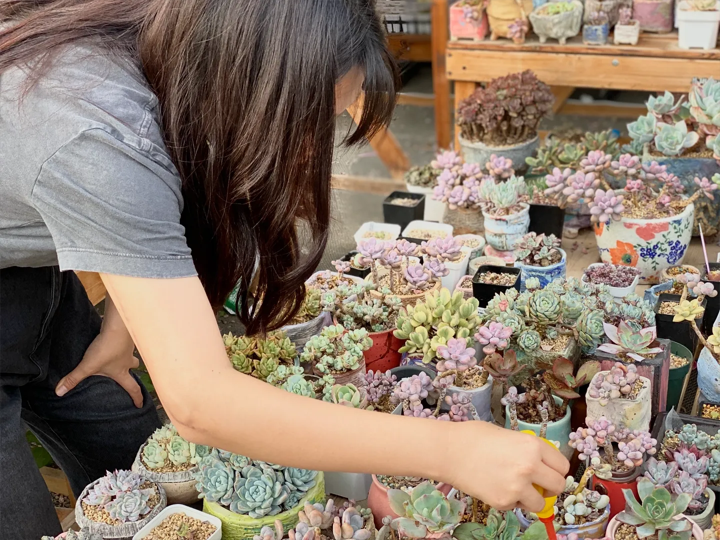 棚主在温室中检查植物状态